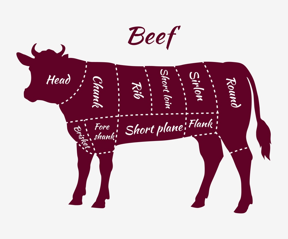 Primal Beef Cuts Diagram